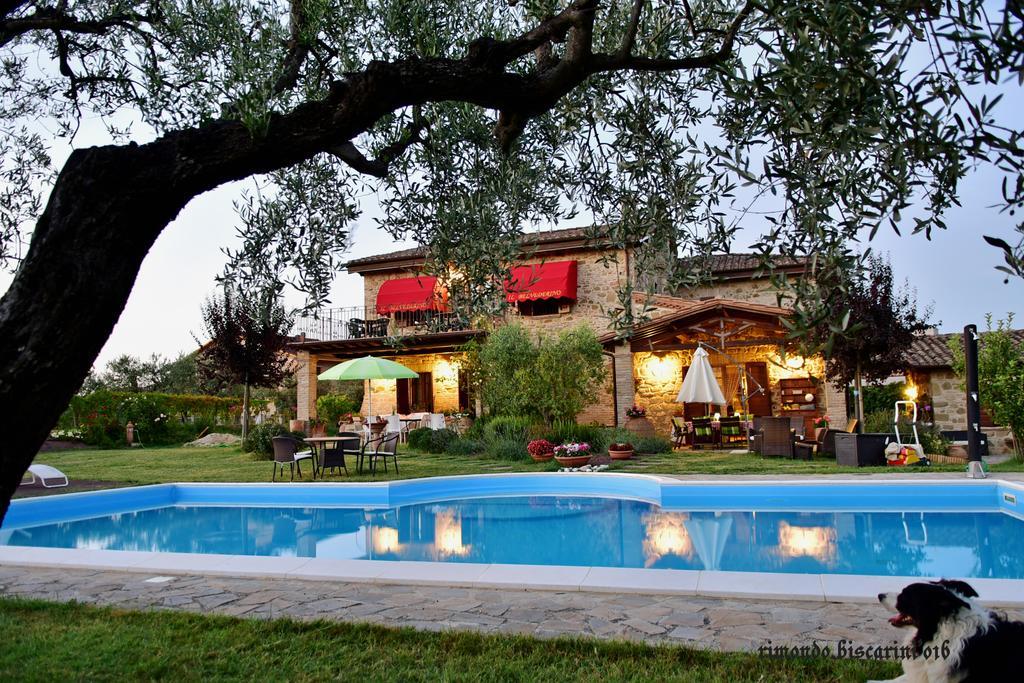 Il Belvederino Bed and Breakfast Brufa Εξωτερικό φωτογραφία