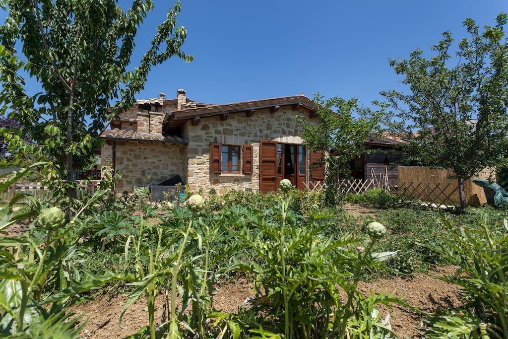 Il Belvederino Bed and Breakfast Brufa Εξωτερικό φωτογραφία